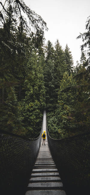 Cool Iphone Xs Max Hanging Bridge Wallpaper