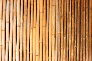 Cool Japanese Bamboo Wallpaper