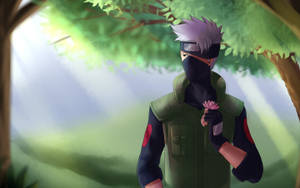 Cool Kakashi Nature Boy Wallpaper