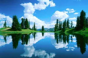 Cool Nature Lake Forest Wallpaper