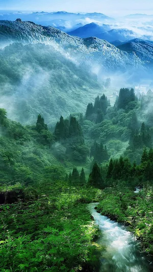 Cool Nature Stream Trees Wallpaper