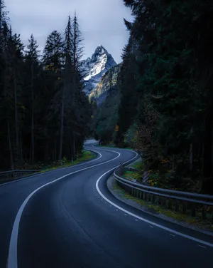 Cool Nature Wavy Forest Highway Wallpaper