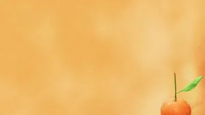Cool Orange Fruit Wallpaper