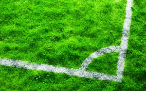 Cool Soccer Ground Background Wallpaper