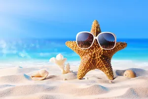 Cool Starfish Beach Theme Wallpaper