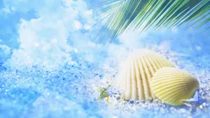 Cool Summer Aesthetic Seashells Wallpaper