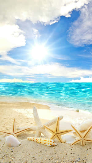 Cool Summer View And Starfishes On The Sand Wallpaper