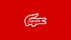 Cool Supreme Lacoste Wallpaper