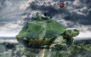 Cool Turtle Graphic Art Wallpaper