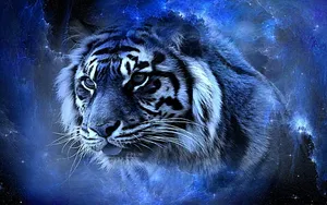 Cool Wallpaper Wallpaper