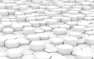 Cool White Hexagonal Flooring Wallpaper