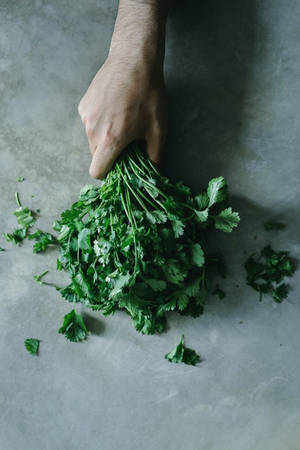 Coriander Vegetable Herbs Overhead Shot Wallpaper