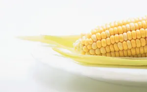 Corn On Transparent Plate Wallpaper
