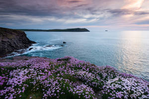 Cornwall Coast England Wallpaper