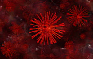 Coronavirus Model Fireworks Shred Wallpaper