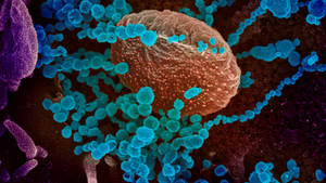 Coronavirus Variant Visual Wallpaper