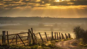 Country Farm Road Sun Wallpaper
