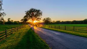 Country Farm Road Sunrise Wallpaper