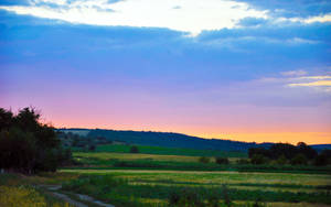 Country Field Evening Landscape Wallpaper