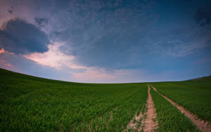 Country Grass Field Panorama Wallpaper