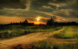 Country Road Beaten Path Wallpaper