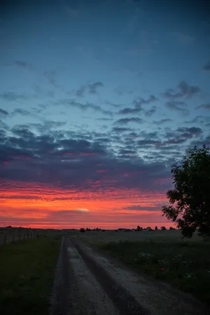 Country Road Dawn Sunrise Wallpaper