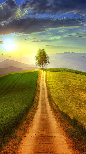 Country Road Digital Rendering Rice Fields Wallpaper