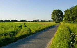 Country Road Greyish Blue Sky Wallpaper