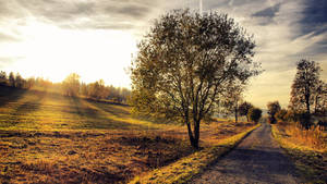 Country Road Hill Sunlight Wallpaper
