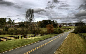 Country Road Two Solid Yellow Lines Wallpaper