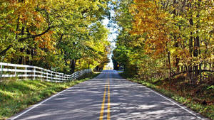 Country Road White Wooden Fence Wallpaper