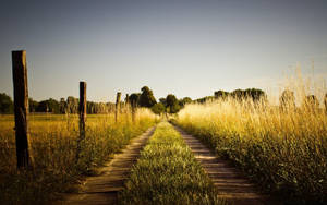 Country Road With Crooked Wooden Fence Wallpaper