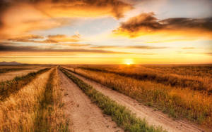 Country Road With Dirt And Grass Wallpaper