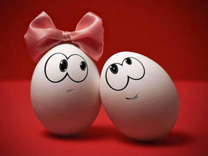 Couple Eggs Funny Laptop Wallpaper