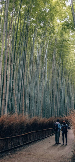 Couple On A Bamboo Walkway Iphone Wallpaper