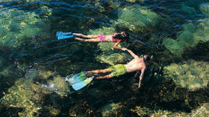 Couple Snorkeling Wallpaper
