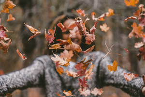 Cozy Autumn Girl Throwing Leaves Wallpaper