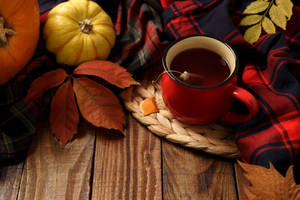 Cozy Autumn Pumpkins Leaves Wallpaper