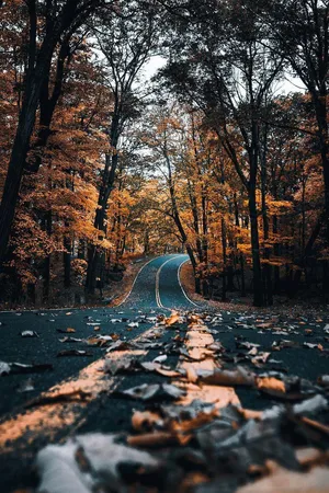 Cozy Road Iphone Wallpaper