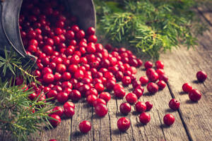 Cranberry Spilled On Ground Wallpaper