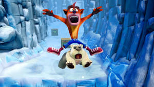 Crash Bandicoot Polar Bear Wallpaper