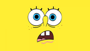 Crazy Cartoon Yellow Spongeboob Fulklscreen Wallpaper