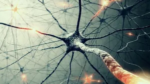 Creative Chemistry Neuron Axon Wallpaper
