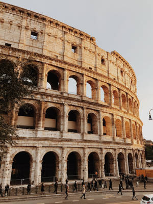 Cropped Brown Aesthetic Colosseum Phone Wallpaper