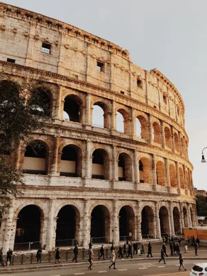 Cropped Brown Aesthetic Colosseum Phone Wallpaper