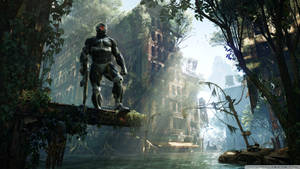 Crysis 3 New Ecosystem Wallpaper