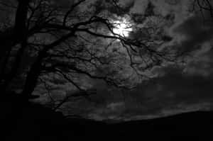 Crystal-colored Background Enhances The Contrast Of The Dark Desktop Wallpaper