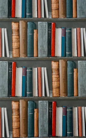 Curling Up With A Good Book On A Rainy Day. Wallpaper