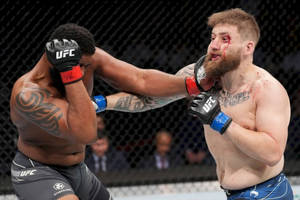 Curtis Blaydes Counter Punch Wallpaper