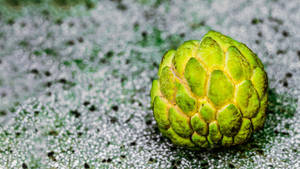 Custard Apple Bright Green Wallpaper